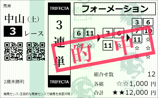 購入馬券サムネイル